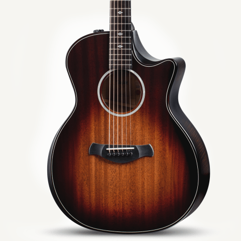 Taylor Guitars | ギターとアクセサリーを買う